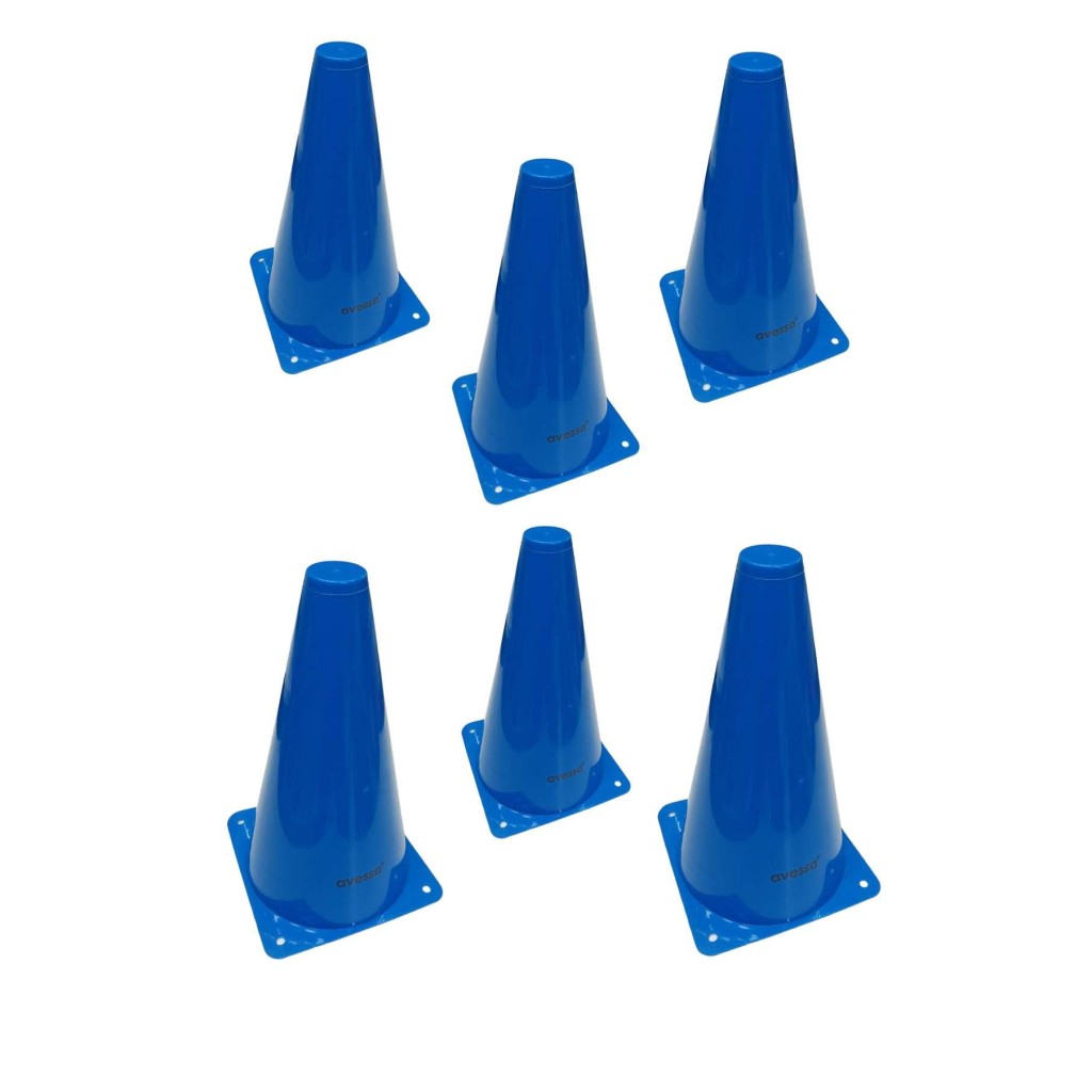 Avessa Hn-23 Küçük Huni 23 cm Mavi 6lı